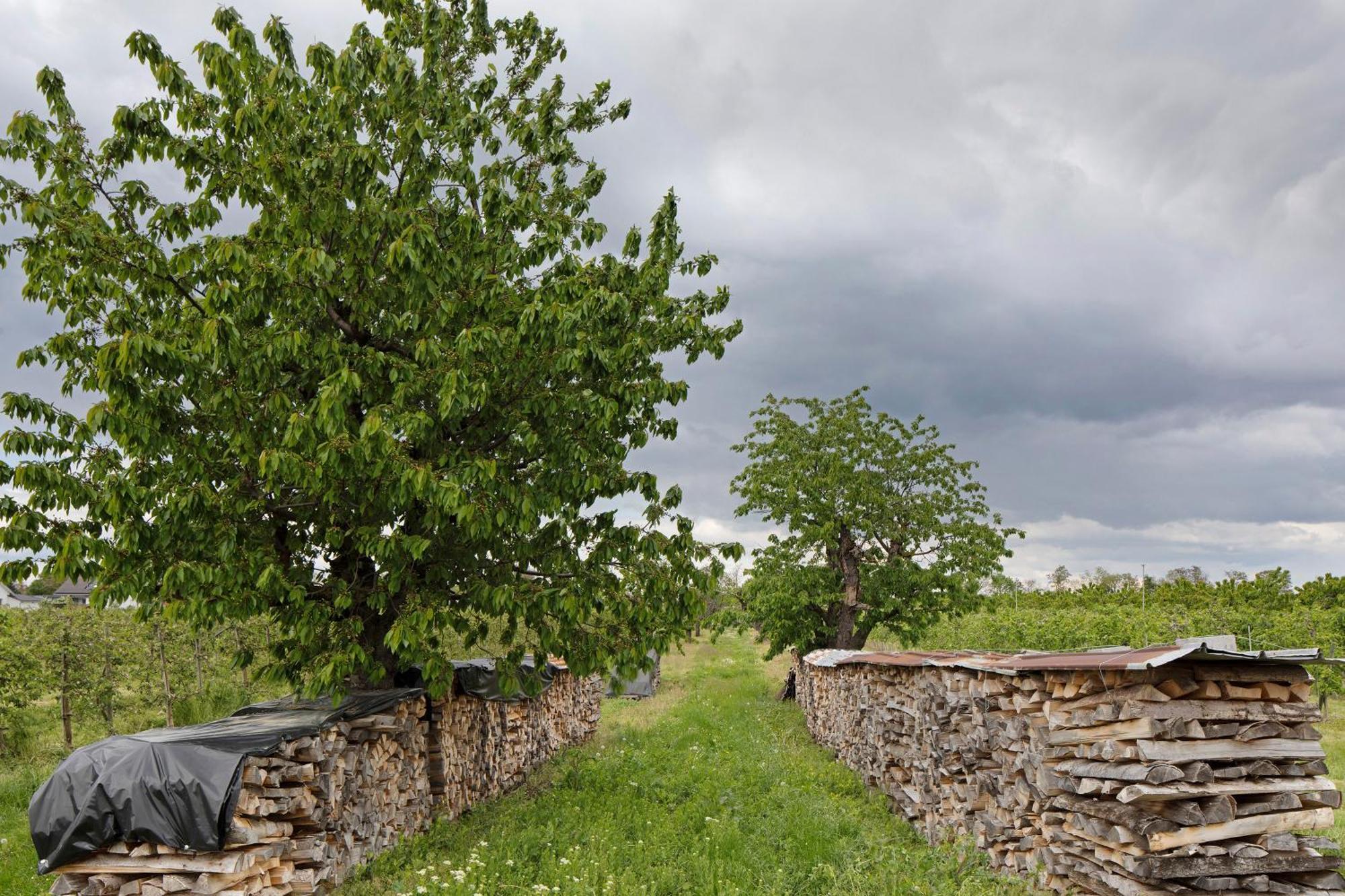 Ferienhof Schloessle Sasbach am Kaiserstuhl Esterno foto