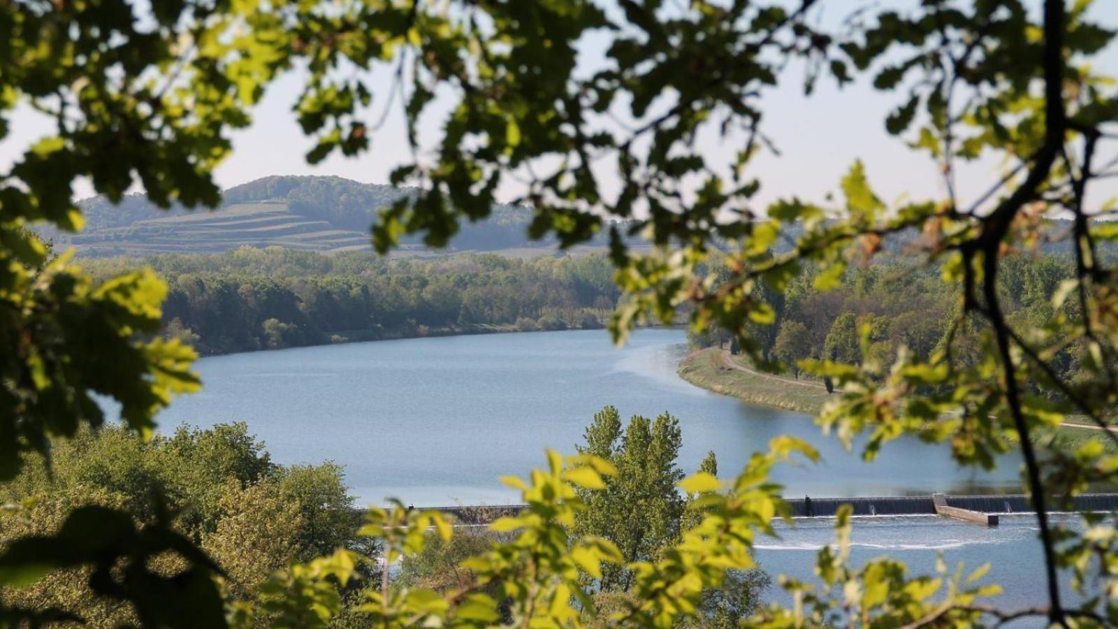 Ferienhof Schloessle Sasbach am Kaiserstuhl Esterno foto