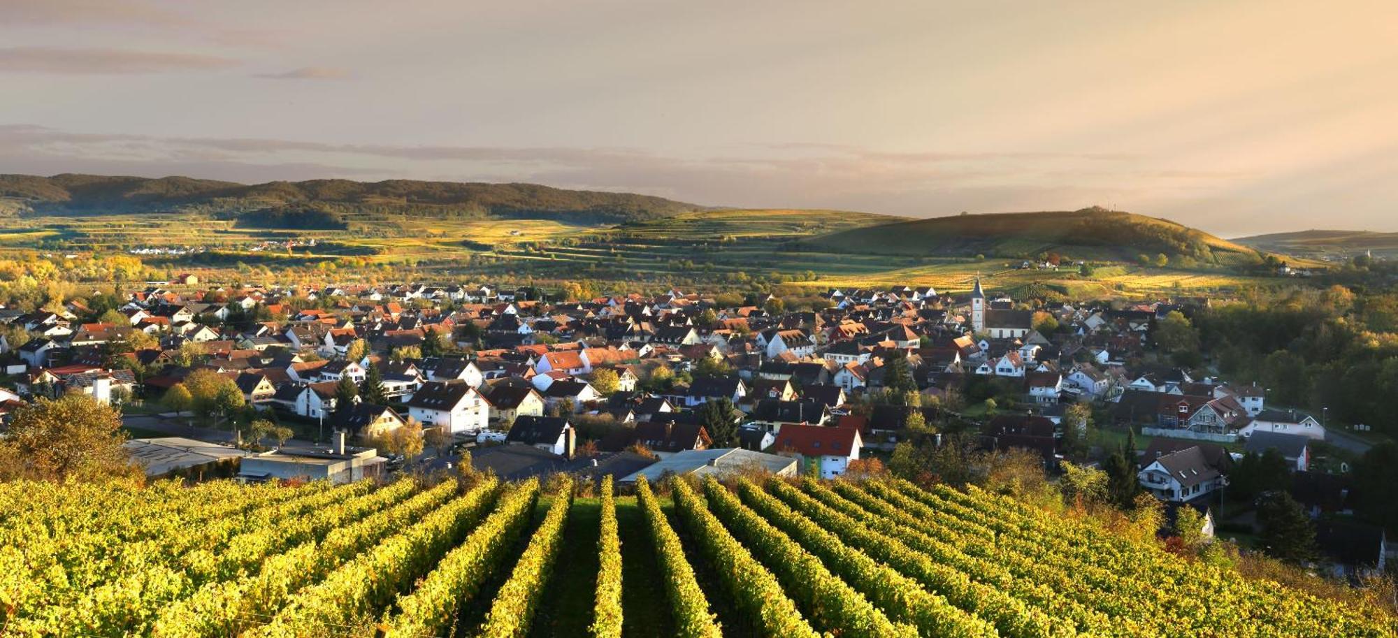 Ferienhof Schloessle Sasbach am Kaiserstuhl Esterno foto