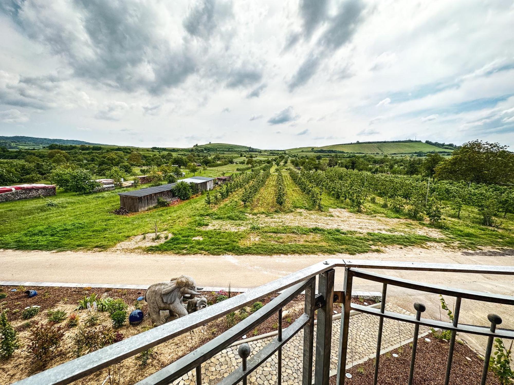 Ferienhof Schloessle Sasbach am Kaiserstuhl Esterno foto